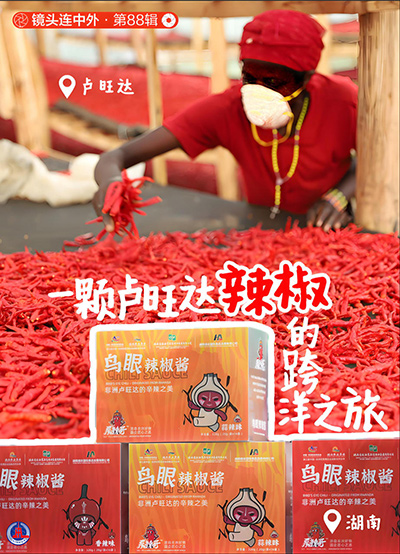 非洲干辣椒点燃湖南人
